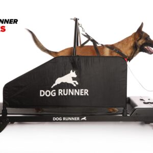 Dog Runner Tracks